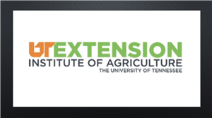 UT Ext 